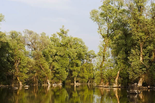 Channels and lakes in the Danube Delta, romania