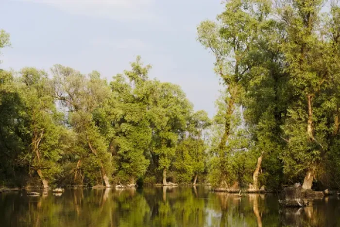 Framed Print : Channels and lakes in the Danube Delta, romania