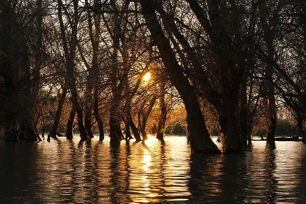 Channels during sunrise in the Danube Delta, romania