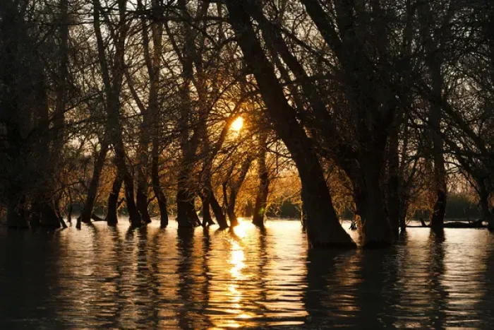 Framed Print : Channels during sunrise in the Danube Delta, romania