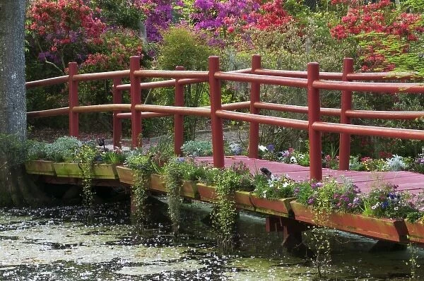Charleston, South Carolina, USA. Azaleas in bloom ialong a bridge n the spring