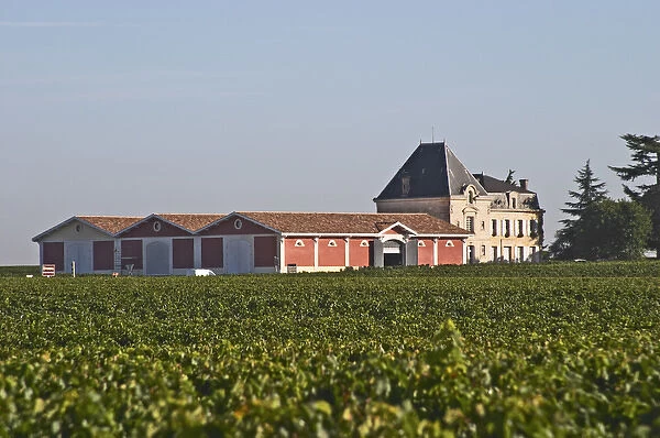 Chateau Evangile with vineyard and winery in Pomerol, Bordeaux