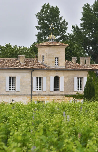 Chateau Gazin and its vineyard Pomerol Bordeaux Gironde Aquitaine France