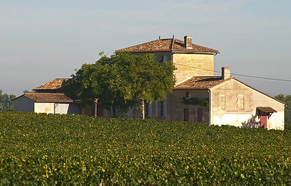 Chateau Lafleur and vineyard, Pomerol, Bordeaux
