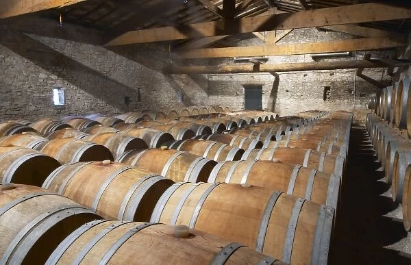 Chateau de Lascaux, Vacquieres village. Pic St Loup. Languedoc. Barrel cellar. France