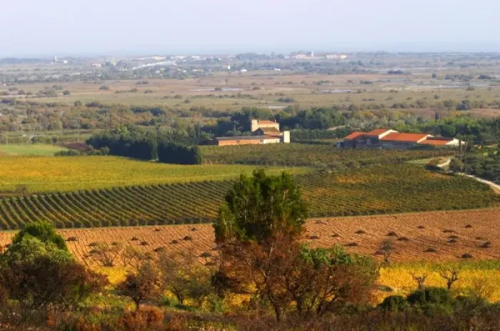 Framed Print : Chateau Mire l Etang. La Clape. Languedoc. France. Europe. Vineyard. The winery building