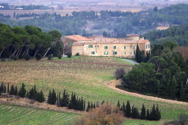 Chateau Pech-Latt. Near Ribaute. Les Corbieres. Languedoc. The winery building. The vineyard