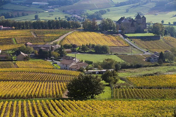 Chateau of Pierreclos and vineyards in autumn, Soane et Loire, Burgundy, France