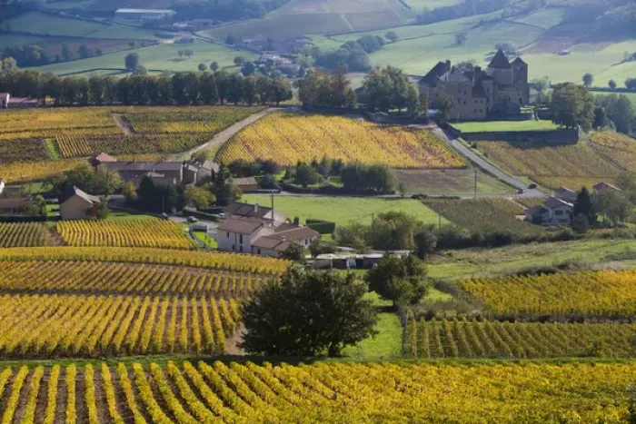 Framed Print : Chateau of Pierreclos and vineyards in autumn, Soane et Loire, Burgundy, France Framed Print : Chateau of Pierreclos and vineyards in autumn, Soane et Loire, Burgundy, France