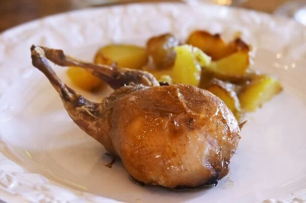 Chateau Rives-Blanques. Limoux. Languedoc. Roast grilled quail stuffed with foie