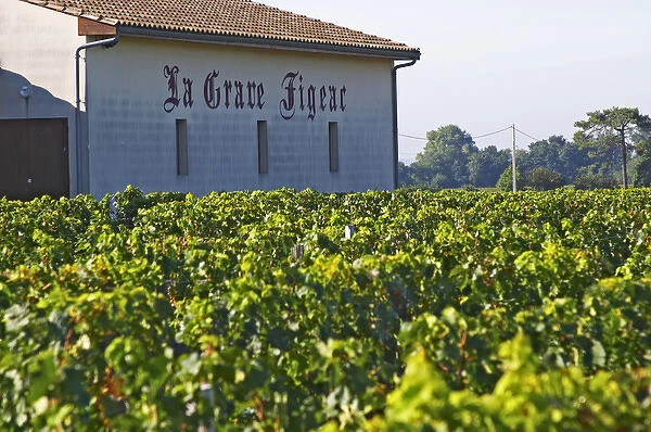 The chateau, vineyard and winery La Grave Figeac is just between Cheval Blanc