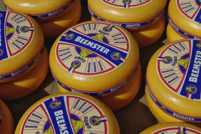 Framed Print : Cheese at the Alkmaar Cheese Market, Alkmaa, Netherlands, Holland