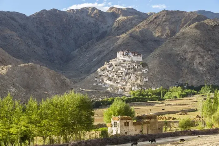 Framed Print : Chemre or Chemrey Village & monastery, nr Leh, Ladakh, India Framed Print : Chemre or Chemrey Village & monastery, nr Leh, Ladakh, India