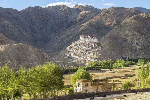 Chemre or Chemrey Village & monastery, nr Leh, Ladakh, India
