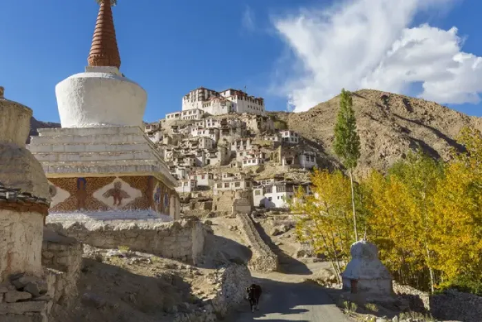 Framed Print : Chemrey Monastery & Village, Chemrey, nr Leh, Ladakh, India