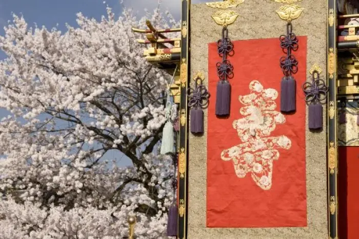 Framed Print : Cherry blossom tree and silk tapestry of elaborate festival float (yatai) in Gonjunko Framed Print : Cherry blossom tree and silk tapestry of elaborate festival float (yatai) in Gonjunko
