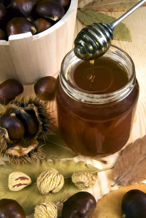 Framed Print : Chestnut (Castanea sativa) honey in jar Framed Print : Chestnut (Castanea sativa) honey in jar