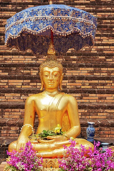 Chiang Mai, Thailand. Wat Chedi Luang. Buddha statue