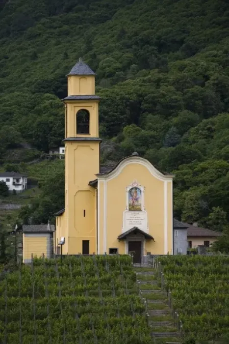 Framed Print : Chiesa San Sebastiano, vineyard, Bellinzona, Ticino, Switzerland Framed Print : Chiesa San Sebastiano, vineyard, Bellinzona, Ticino, Switzerland