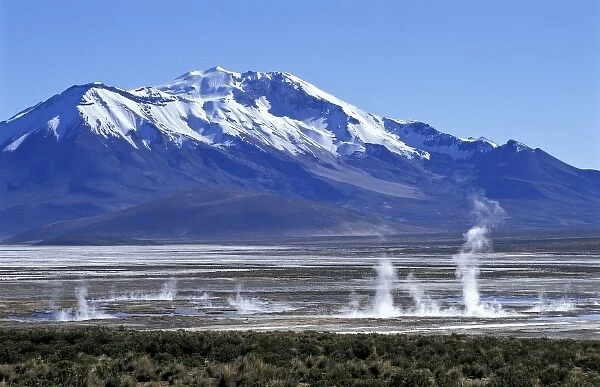 Chile, Altiplano, Tarapaca, Surire National Reserve. Hot spring at Surire Salt Lake
