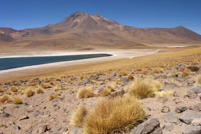 Framed Print : Chile, Antofagasta Region, Miniques, Lake Miscanti. Lake Miscanti is a brackish lake