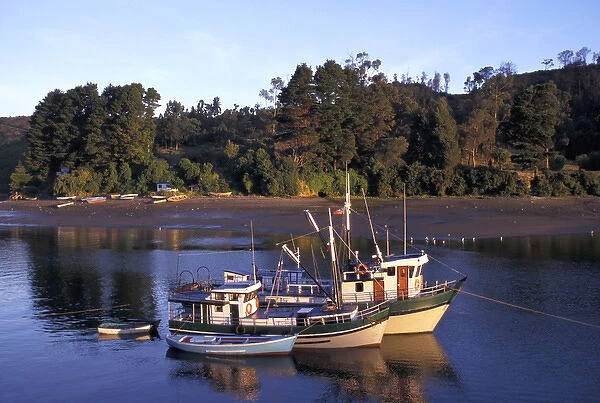 Chile, The Lake District. Fishing fleet, Port Angelmo, Puerto Montt