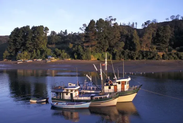 Framed Print : Chile, The Lake District. Fishing fleet, Port Angelmo, Puerto Montt