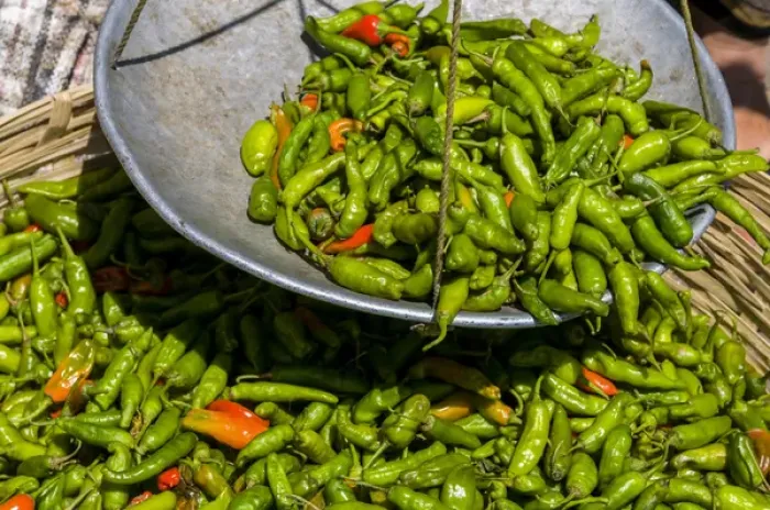 Framed Print : Chilis for sale, Close up, Wangdue Phodrang monastery, Bhutan
