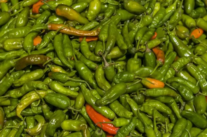 Framed Print : Chilis for sale, Close up, Wangdue Phodrang monastery, Bhutan Framed Print : Chilis for sale, Close up, Wangdue Phodrang monastery, Bhutan