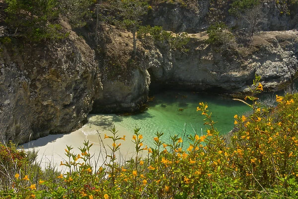 China Cove and Beach; Point Lobos State Reserve; Carmel; California; USA