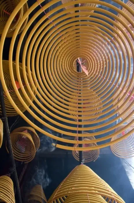 Framed Print : China, Hong Kong, New Territories, Tai Po area. Man Mo Temple. Large coils of burning Framed Print : China, Hong Kong, New Territories, Tai Po area. Man Mo Temple. Large coils of burning