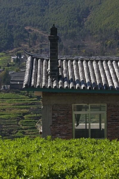 CHINA, Yunnan Province, Heqing. Mountain Town Terraced Fields from hillside farm