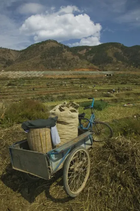Framed Print : CHINA, Yunnan Province, Jangwei. View of town fields and farmers bicycles Framed Print : CHINA, Yunnan Province, Jangwei. View of town fields and farmers bicycles