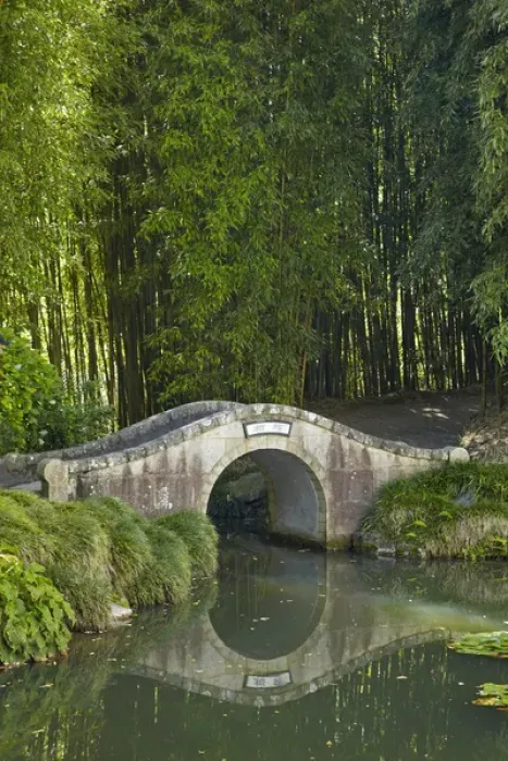 Framed Print : Chinese Scholars Garden, Hamilton Gardens, Hamilton, Waikato, North Island Framed Print : Chinese Scholars Garden, Hamilton Gardens, Hamilton, Waikato, North Island