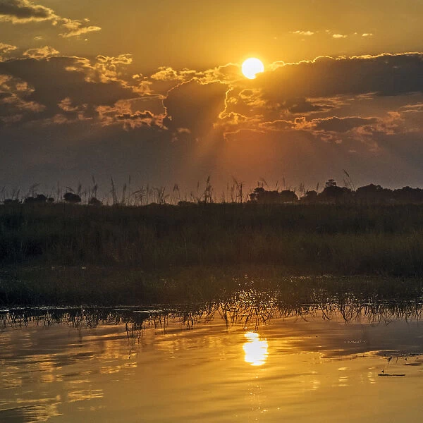 Chobe River, Botswana, Africa. Sunset on the Chobe River