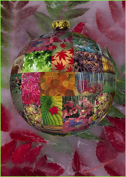 Christmas bulb made from picture sphere and backdrop of ice with mahonia