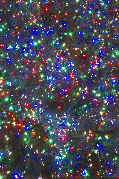 Christmas lights, Portland, Oregon