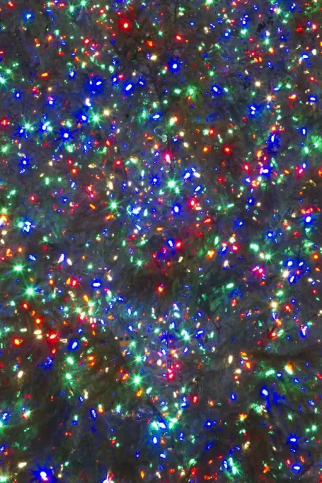 Framed Print : Christmas lights, Portland, Oregon Framed Print : Christmas lights, Portland, Oregon