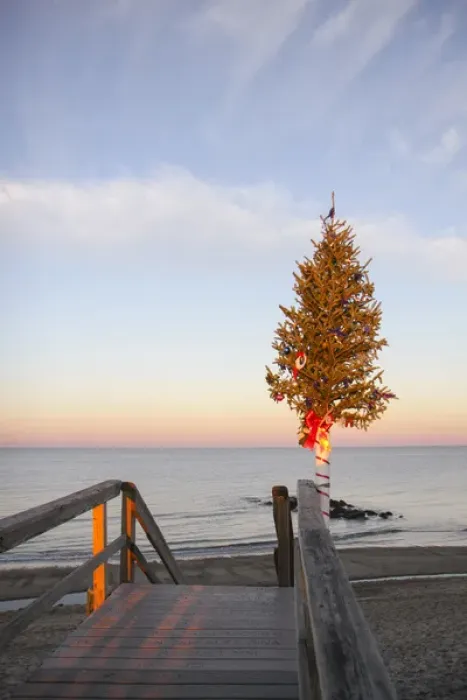 Framed Print : Christmas tree at the end of Sandwich Boardwalk, Sandwich, Cape Cod, Massachusetts Framed Print : Christmas tree at the end of Sandwich Boardwalk, Sandwich, Cape Cod, Massachusetts