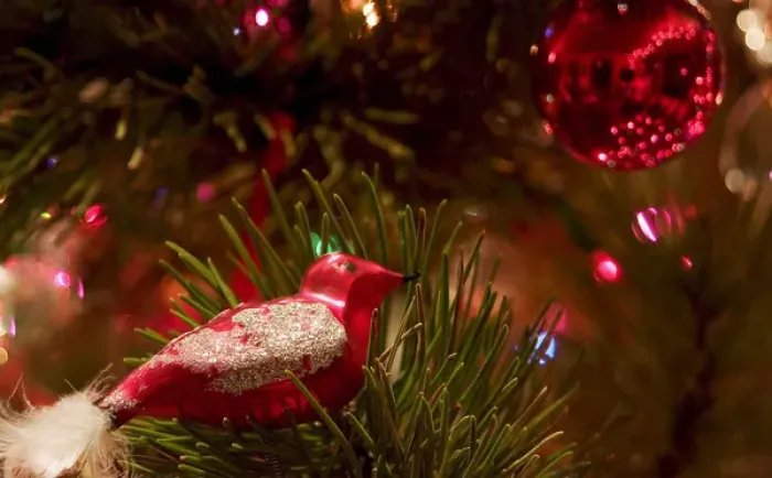 Framed Print : Christmas tree ornaments