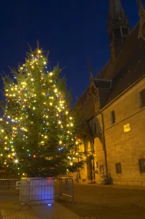 Framed Print : A chrstmas tree with coloured colored lights in front of the Hotel Dieu Hospices Framed Print : A chrstmas tree with coloured colored lights in front of the Hotel Dieu Hospices