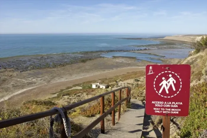 Framed Print : Chubut Province, Argentina. Peninsula Valdes, Unesco World Heritage Site. Punta Delgada