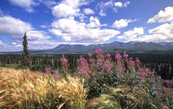 Chugach Mountains, Alaska, USA