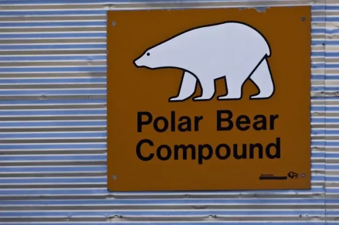 Framed Print : Churchill, Manitoba. Polar bear hotel