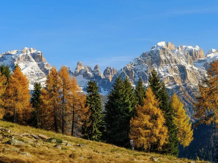 Framed Print : Cima Brenta and Cima Tosa. View of the Dolomiti di Brenta from Val Rendena in the Parco Naturale Adamello Brenta, part of UNESCO World Heritage Site. Dolomites, in the province of Trentino in Italy Framed Print : Cima Brenta and Cima Tosa. View of the Dolomiti di Brenta from Val Rendena in the Parco Naturale Adamello Brenta, part of UNESCO World Heritage Site. Dolomites, in the province of Trentino in Italy