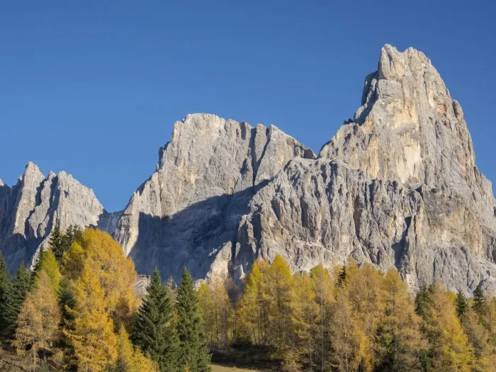 Framed Print : Cimon Della Pala and Cima della Vezzana. Peaks towering over Val Venegia seen from Passo Framed Print : Cimon Della Pala and Cima della Vezzana. Peaks towering over Val Venegia seen from Passo