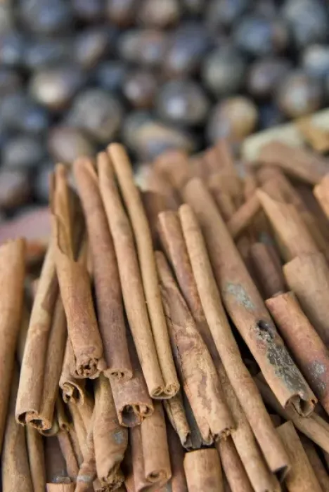 Framed Print : Cinnamon and Nutmegs, Spice Market, Dubai, United Arab Emirates, Middle East Framed Print : Cinnamon and Nutmegs, Spice Market, Dubai, United Arab Emirates, Middle East