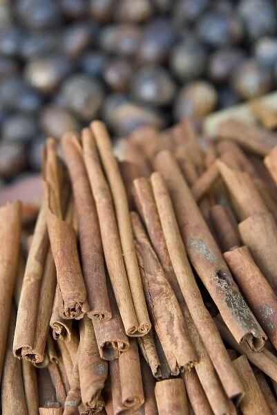 Cinnamon and Nutmegs, Spice Market, Dubai, United Arab Emirates, Middle East