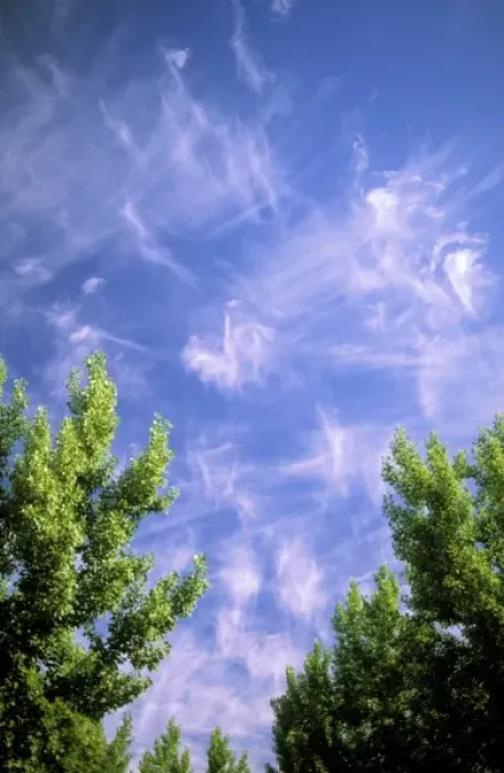 Framed Print : Cirrus clouds Framed Print : Cirrus clouds