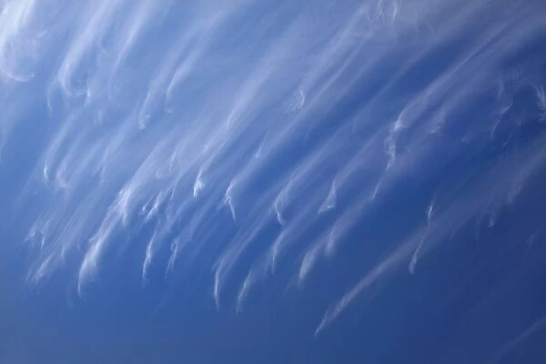 Cirrus Clouds over Dunedin, Otago, South Island, New Zealand